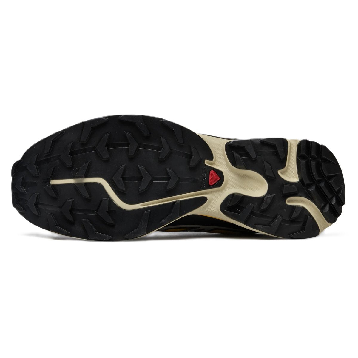 Salomon XT-6 Black Grape Leaf Beach Ball